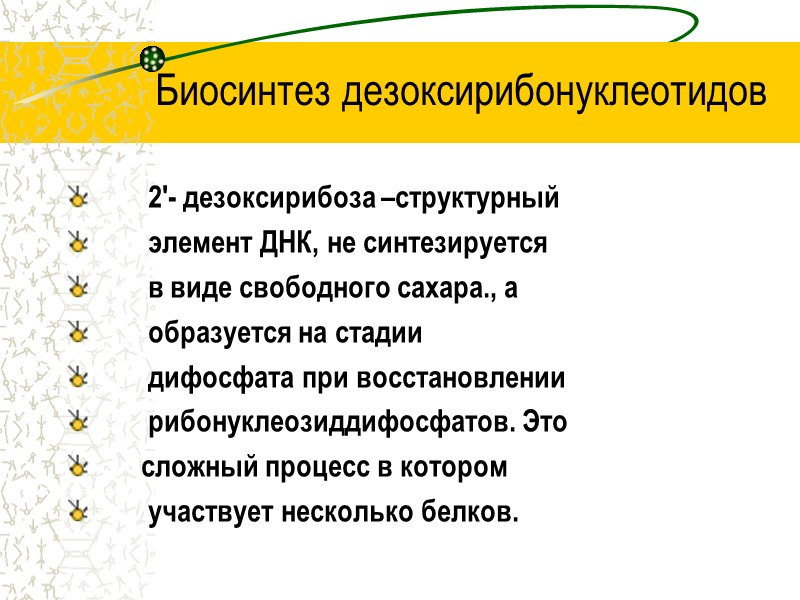 Биосинтез дезоксирибонуклеотидов        2′- дезоксирибоза –структурный  